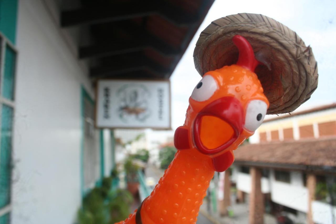 Casa Kraken Hostel プエルトバラータ エクステリア 写真