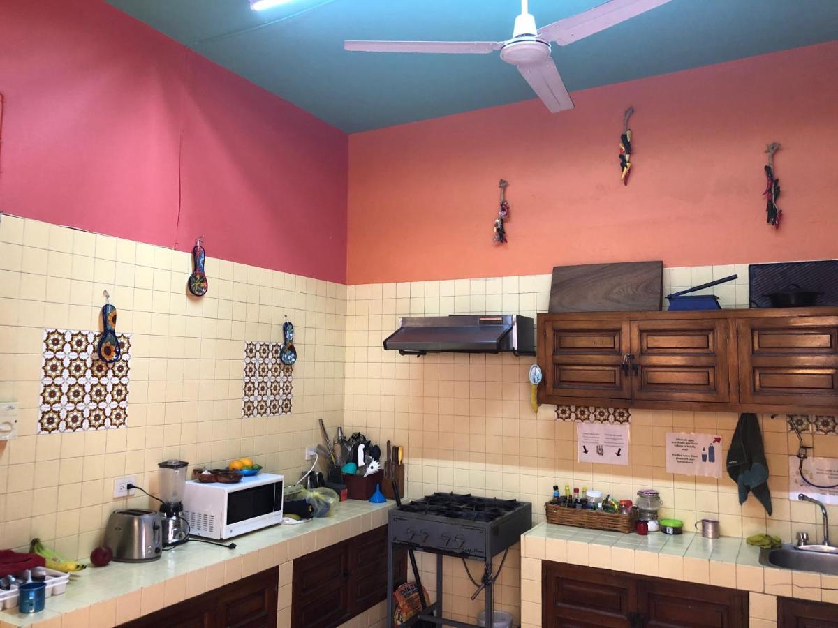 Casa Kraken Hostel プエルトバラータ エクステリア 写真