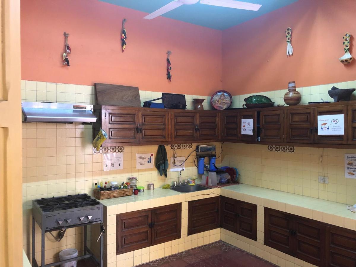 Casa Kraken Hostel プエルトバラータ エクステリア 写真