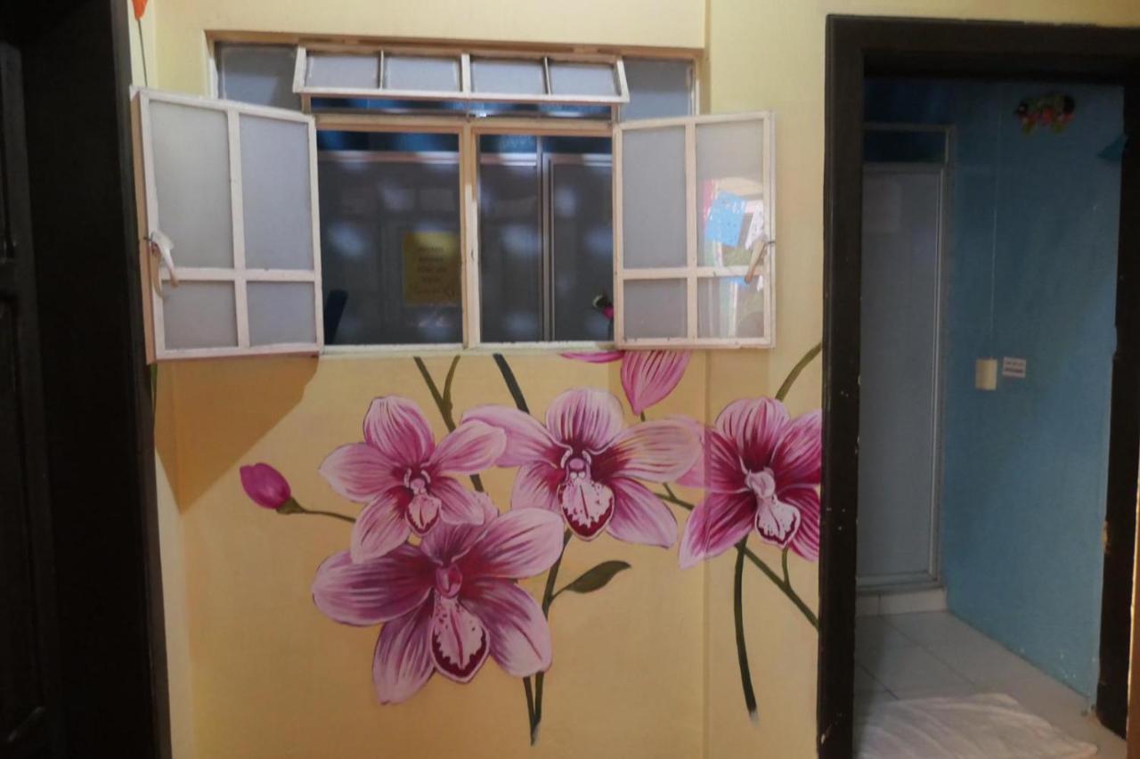 Casa Kraken Hostel プエルトバラータ エクステリア 写真