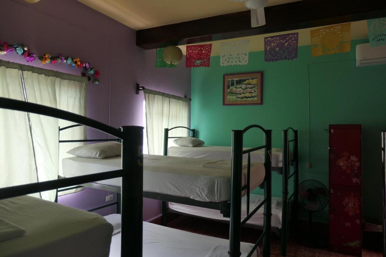 Casa Kraken Hostel プエルトバラータ エクステリア 写真
