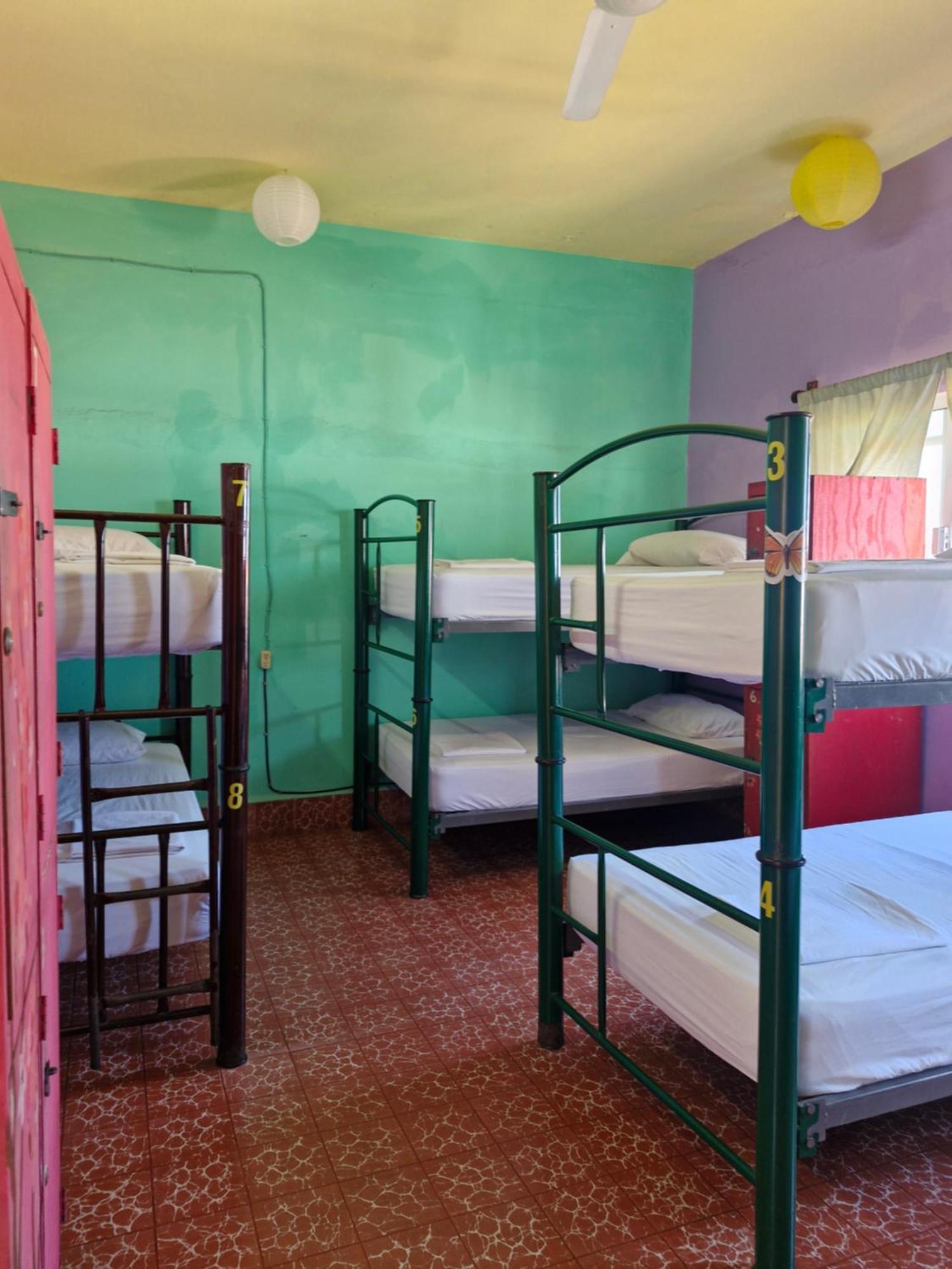 Casa Kraken Hostel プエルトバラータ エクステリア 写真