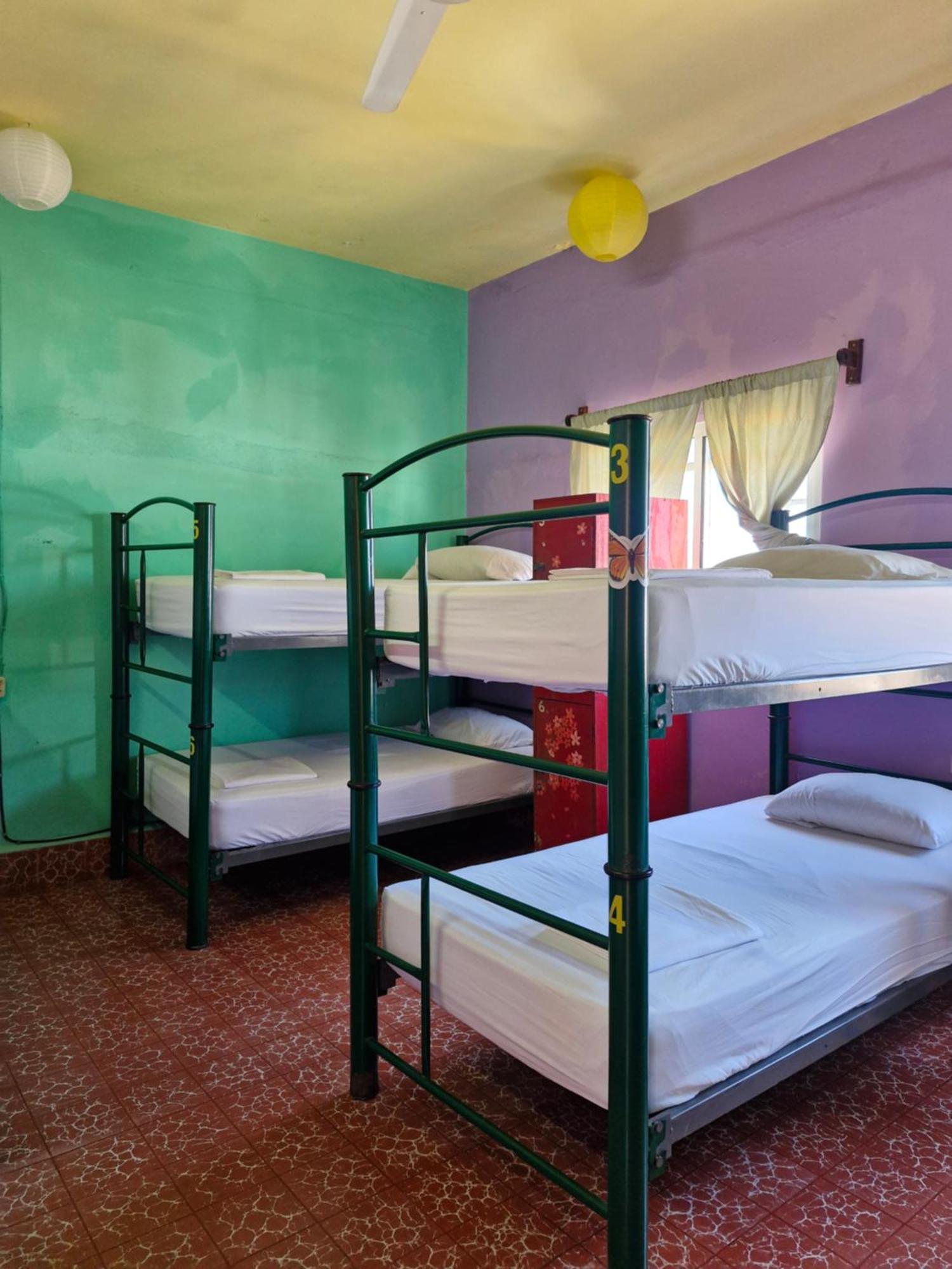 Casa Kraken Hostel プエルトバラータ エクステリア 写真