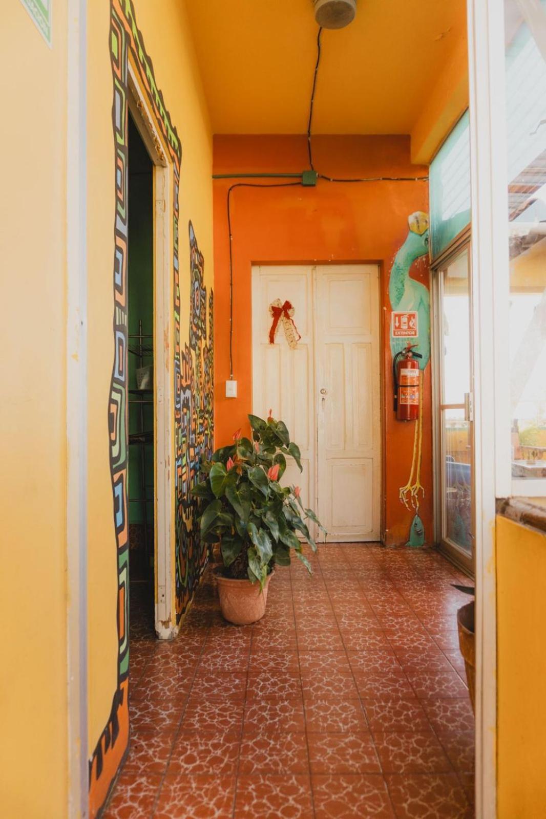 Casa Kraken Hostel プエルトバラータ エクステリア 写真